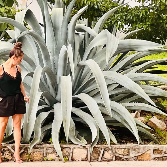 Meet your Posher, Erika - Picture 2 of 2